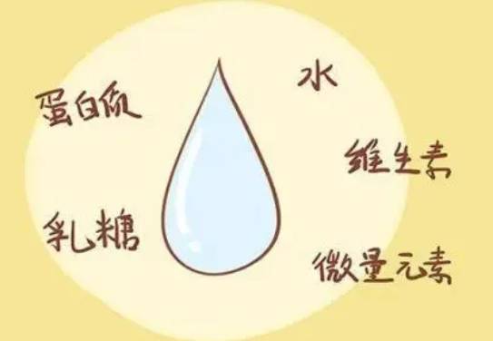 可麗藍十字驗孕棒怎么看？附使用方法和結果解讀